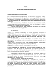 El Sistema Cardio-Respiratorio