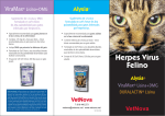 Herpes Virus Felino