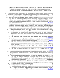 CLAVE DE IDENTIFICACIÓN DE ESPECIES DE CALCEOLARIAS
