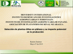 011 – Ramon Jimenez – Seleccion de Plantas Elites