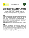 ESTUDIO DE BIOLIXIVIACIÓN DE UN MINERAL DE SULFUROS