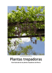Guia de plantas trepadoras en pdf