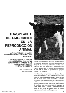 trasplante de embriones en la reproduccion animal