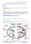 Actividades de Bacterias. - Evolibro