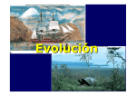 Tema 5-Evolución