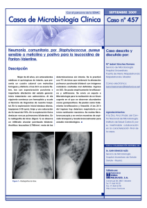 Casos de Microbiología Clínica