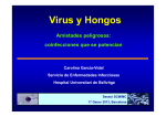 Virus y Hongos