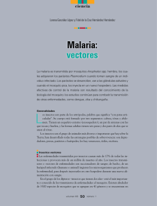 Malaria: vectores - Revista Ciencia
