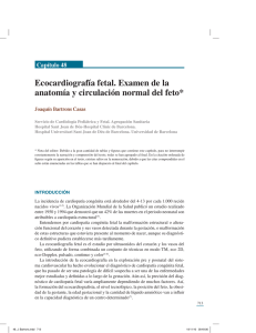 Ecocardiografía fetal. Examen de la anatomía y