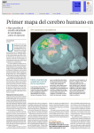 Primer mapa del cerebro humano en