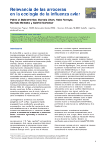 Relevancia de las arroceras en la ecología de la influenza aviar