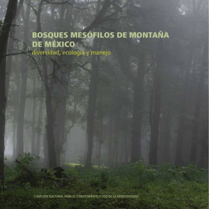 Bosques Mesófilos de Montaña de México