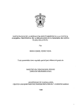 participacion de la inervacion serotoninergica a la corteza cerebral