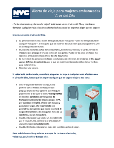 Alerta de viaje para mujeres embarazadas Virus del Zika