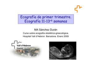 eco primer trimestre