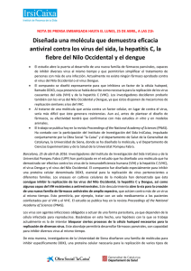 Diseñada una molécula que demuestra eficacia antiviral