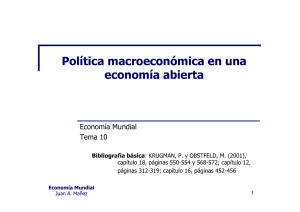 Política macroeconómica en una economía abierta