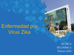 Enfermedad por Virus Zika