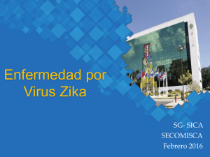Enfermedad por Virus Zika