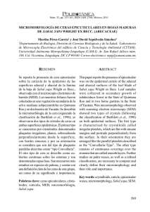 153 MicroMorfología de ceras epicuticulares en hojas Maduras de