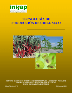 tecnología de producción de chile seco