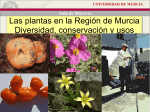 Las plantas en la Región de Murcia Diversidad, conservación y usos
