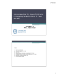 Internacionalización, Inversión Directa Extranjera y las