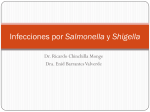 Infecciones por Salmonella y Shigella - medicina