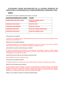 actividades 3ªparte recuperación de la materia