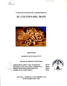 el cultivo del maní - Biblioteca Digital Zamorano