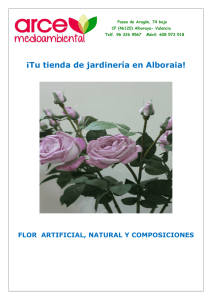 catalogo flores - Arce Medioambiental sl