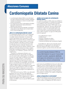 Cardiomiopatía - cloudfront.net
