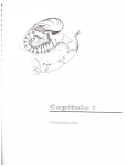 I Organización anatomofuncional del sistema nervioso