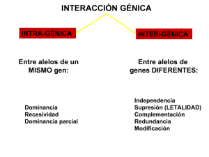 T7 INTERACCION