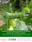 PLAGAS DE IMPORTANCIA ECONÓMICA EN MÉXICO