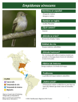 Hojas de datos sobre aves migratorias Neotropicales