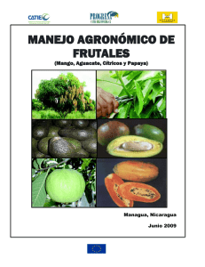 Manual Tecnico de Frutales