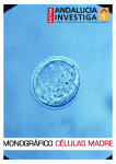 ANDALUCIA INVESTIGA MONOGRÁFICO CÉLULAS MADRE