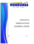Instructivo Auditoría Social CESAMO y CESAR