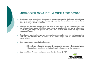 Microbiología de la sidra