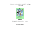 005 Miologia Cab,Cue,Tronco-pdf