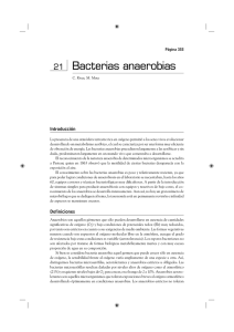 Bacterias anaerobias - Instituto de Higiene