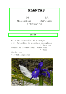 plantas de la medicina popular pirenaica