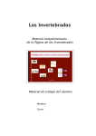 Los Invertebrados