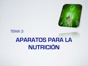 T-3 Ap. Nutrición