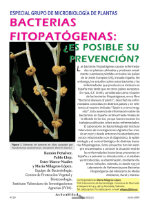 bacterias fitopatógenas - Sociedad Española de Microbiología