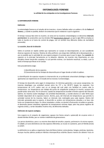 entomología forense - Sitio Argentino de Producción Animal
