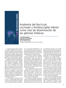 Anatomía del fascículo uncinado y frontooccipital inferior como vías
