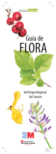 Guía de flora de "El Campillo"-PRSE