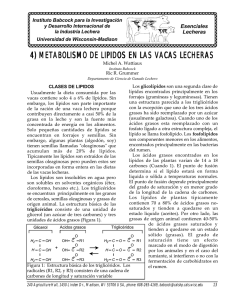 4) METABOLISMO DE LIPIDOS EN LAS VACAS LECHERAS